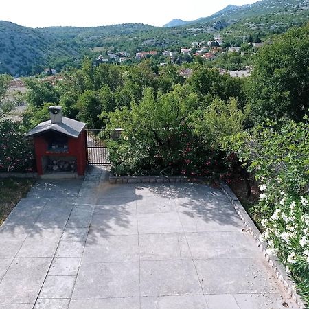 Villa Alexa Цесариця Екстер'єр фото