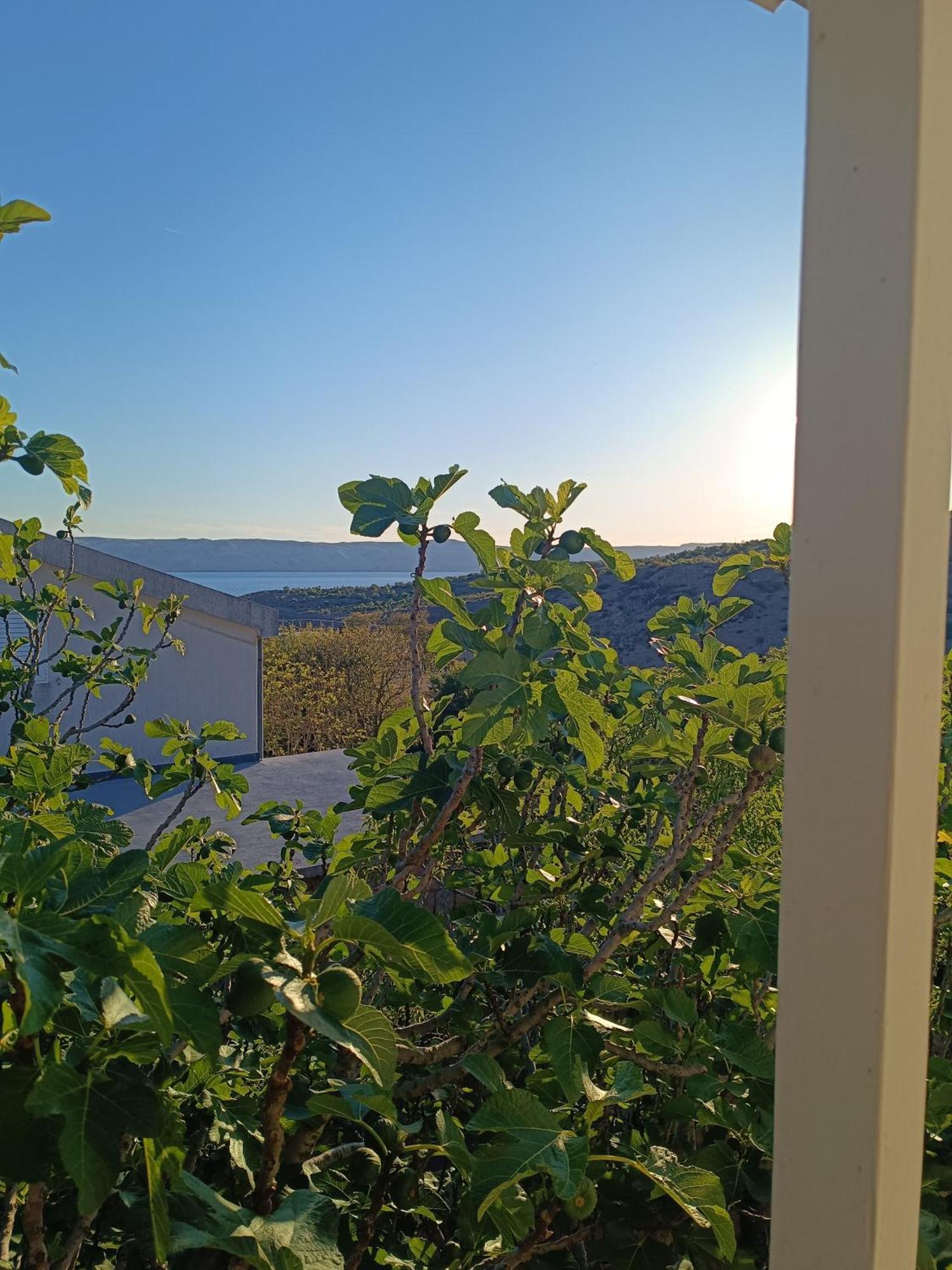 Villa Alexa Цесариця Екстер'єр фото